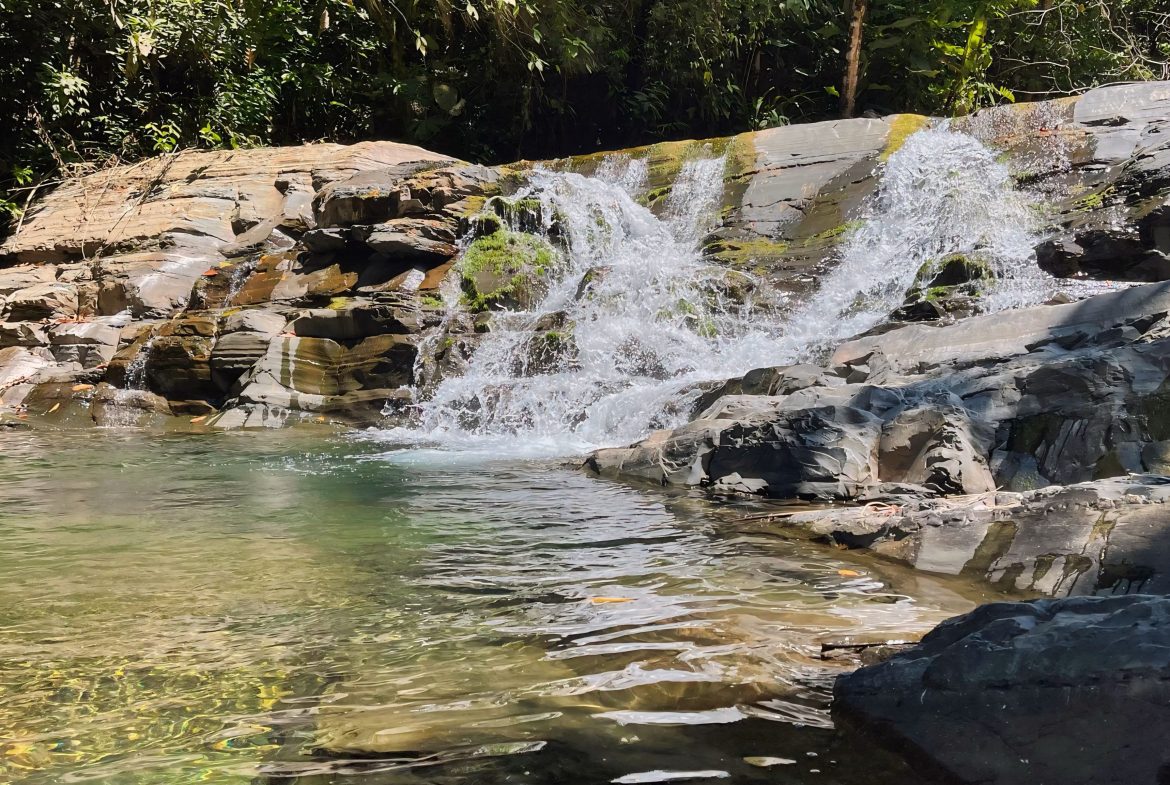 JUNGLE DREAMS FARM: WHERE NATURE MEETS SERENITY – 20 ACRES